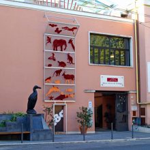 Zoological Museum