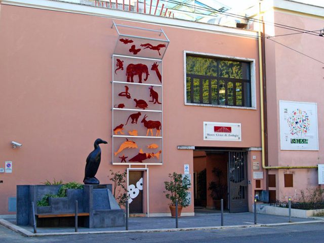 Zoological Museum